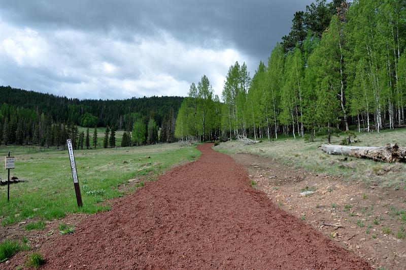 1006120842-Baldy 120.jpg